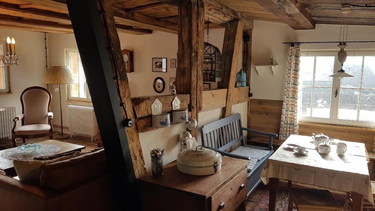 Historisches Fachwerkhaus "Hoher Hirschen" - Stilvolles Studio Und Museales Apartment Mit Romantischem Hof Und Garten Bodman-Ludwigshafen Luaran gambar