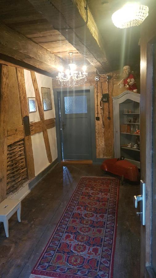 Historisches Fachwerkhaus "Hoher Hirschen" - Stilvolles Studio Und Museales Apartment Mit Romantischem Hof Und Garten Bodman-Ludwigshafen Luaran gambar